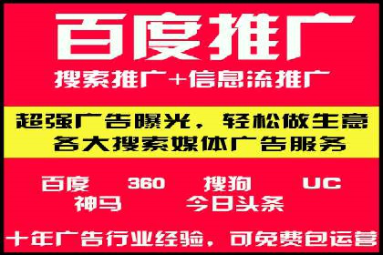 百度竞价包年推广的典型案例与效果展示